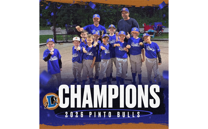 8U Pinto Bulls Champions